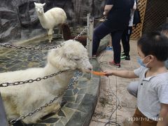 -上海大自然野生昆虫馆(东方明珠·爬宠昆虫探索中心)