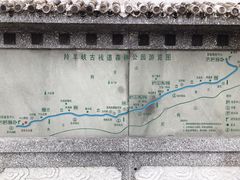-羚羊峡古栈道森林公园