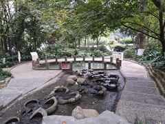 -成都市活水公园