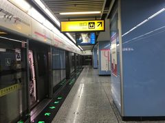 -大龙山(地铁站)