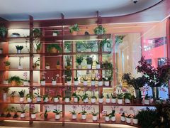 -二酉书店TOYOU BOOKS