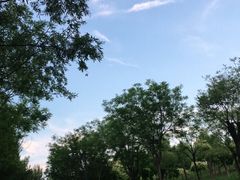 -东郊湿地公园