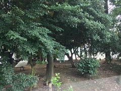 -杭州世外桃源君澜度假酒店