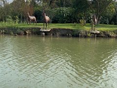 -苏州太湖国家湿地公园