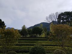 -庐山西海主景区