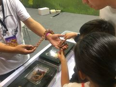 -东浩兰生上海世博展览馆