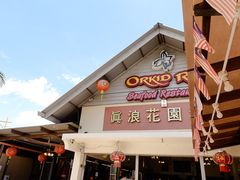 -真浪大家乐海鲜餐馆