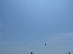 -星海广场