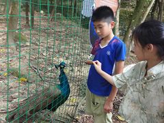 -广州白江湖森林公园