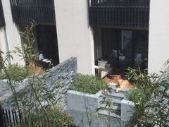 -上海崇明金茂凯悦酒店