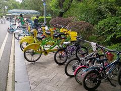 -广东花都湖国家湿地公园
