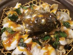 秘制酱焗龙胆石斑-上屿水产(鼓浪屿一店)