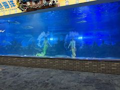 -成都浩海立方海洋公园