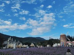 -玫瑰海岸文化旅游度假区