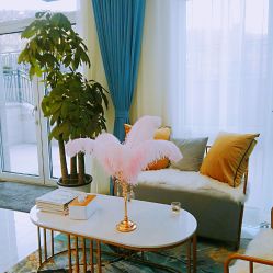 -缤卡妮肌肤管理中心
