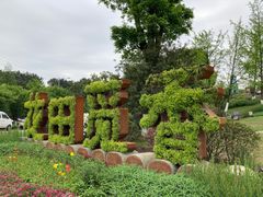 -铁山坪森林公园