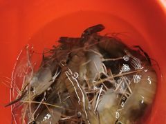 -会江钓鱼钓虾烧烤场