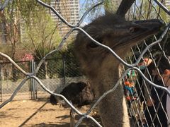 -长白岛森林公园