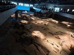 -自贡恐龙博物馆