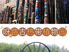 -呀路古热带植物园