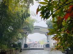 -岳麓山风景名胜区