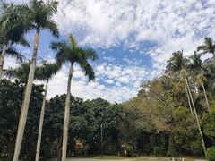 -深圳仙湖植物园