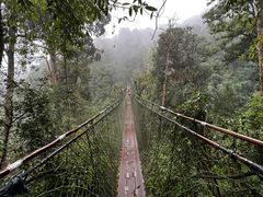 -云南屏边大围山国家公园