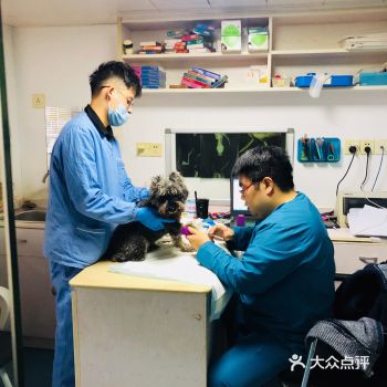 年前老爹牵着狗子散步的时候，这个不知好歹的去挑衅人家