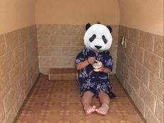 -汤里来温泉