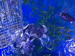 -成都浩海立方海洋公园