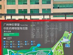 -广州神农草堂中医药博物馆