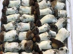 食材-囿面传统制面馆(中央路店)