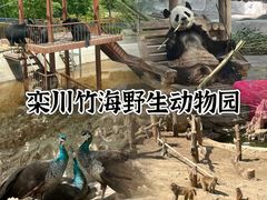 -栾川竹海野生动物园