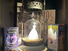 -雪灵魔法世界SHELLY’S TAROT(大良桂畔里店)