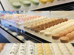 -BLACKSWAN黑天鹅(环球店)
