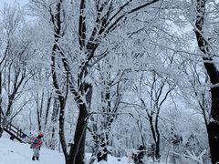 -中旅松花湖滑雪场