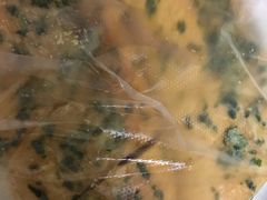 -山崎面包(静安久光店)