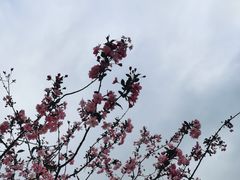 -黄兴公园