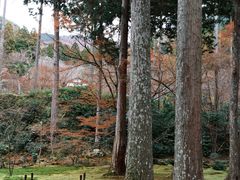 -三千院