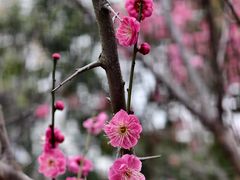 -蜀冈西峰生态公园