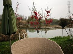 -桤木河湿地公园