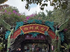 -瑞丽独树成林风景区