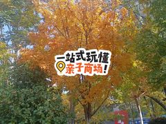 -燕鸣岛