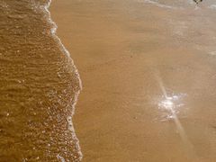 -日照海滨国家森林公园