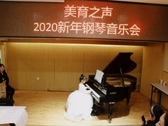 -美育儿童音乐舞蹈国际机构(浦东分校)
