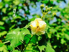 -艾溪湖湿地公园