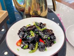 椒香野生小木耳-三品香·江浙菜(松江九谊店)