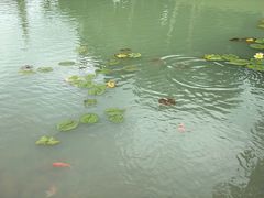 -景山公园