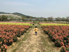 -盈香心动乐园