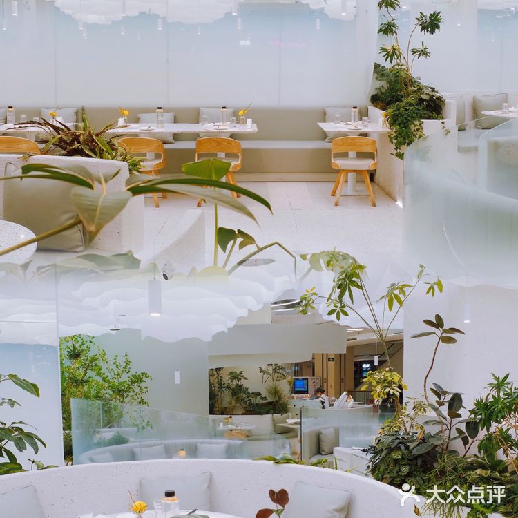 北京首店｜去大树餐厅摘一片云